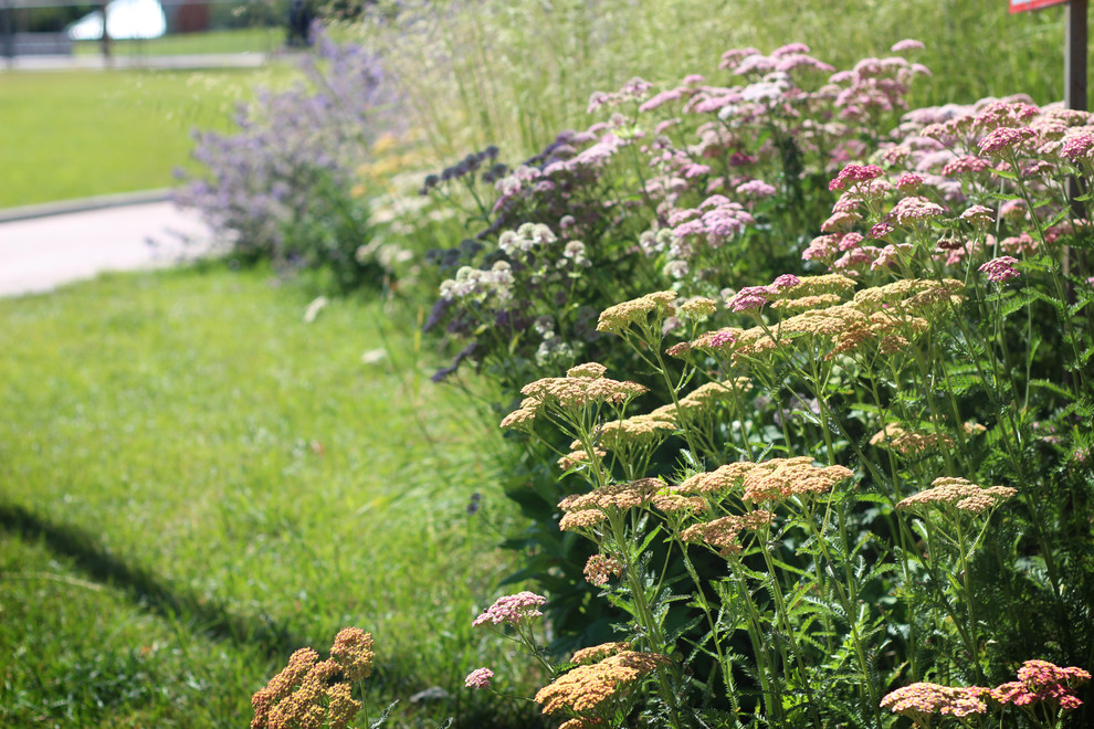 Цветники Советской площади