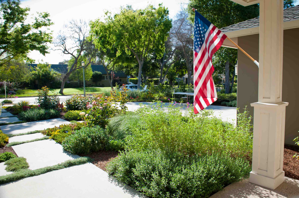 Immagine di un grande giardino xeriscape design esposto in pieno sole davanti casa in primavera con un ingresso o sentiero, pavimentazioni in cemento e recinzione in legno