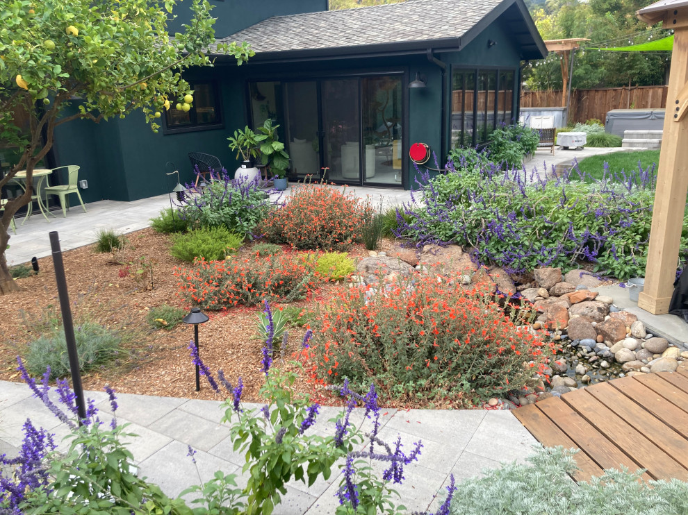 Ispirazione per un grande giardino xeriscape minimalista dietro casa con un ingresso o sentiero e pavimentazioni in mattoni