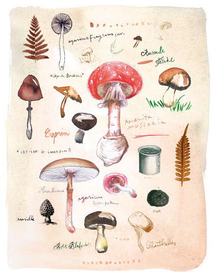 Mushroom Poster by Lucile's Kitchen