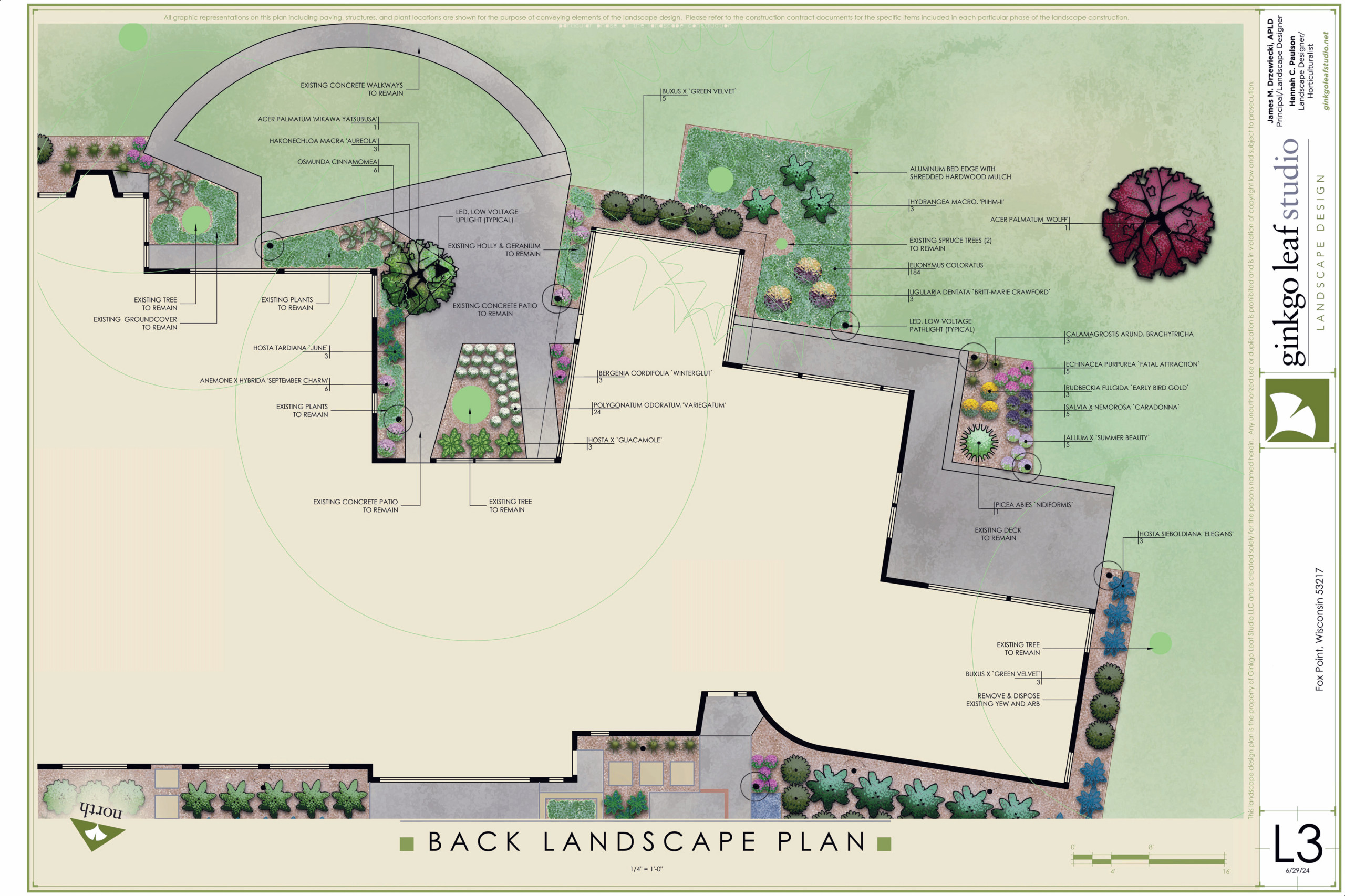 Mid-Century Modern Landscape Makeover - Fox Point, WI