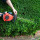 Wigan Hedge Trimming