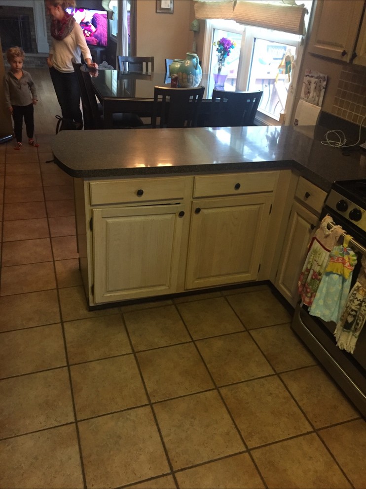 Inspiration for a transitional kitchen remodel in Chicago