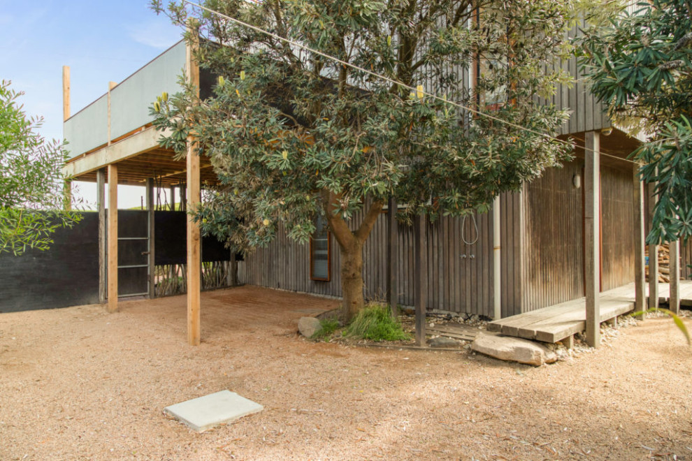 This is an example of a mid-sized and australian native beach style backyard full sun xeriscape in Other with a wood fence.