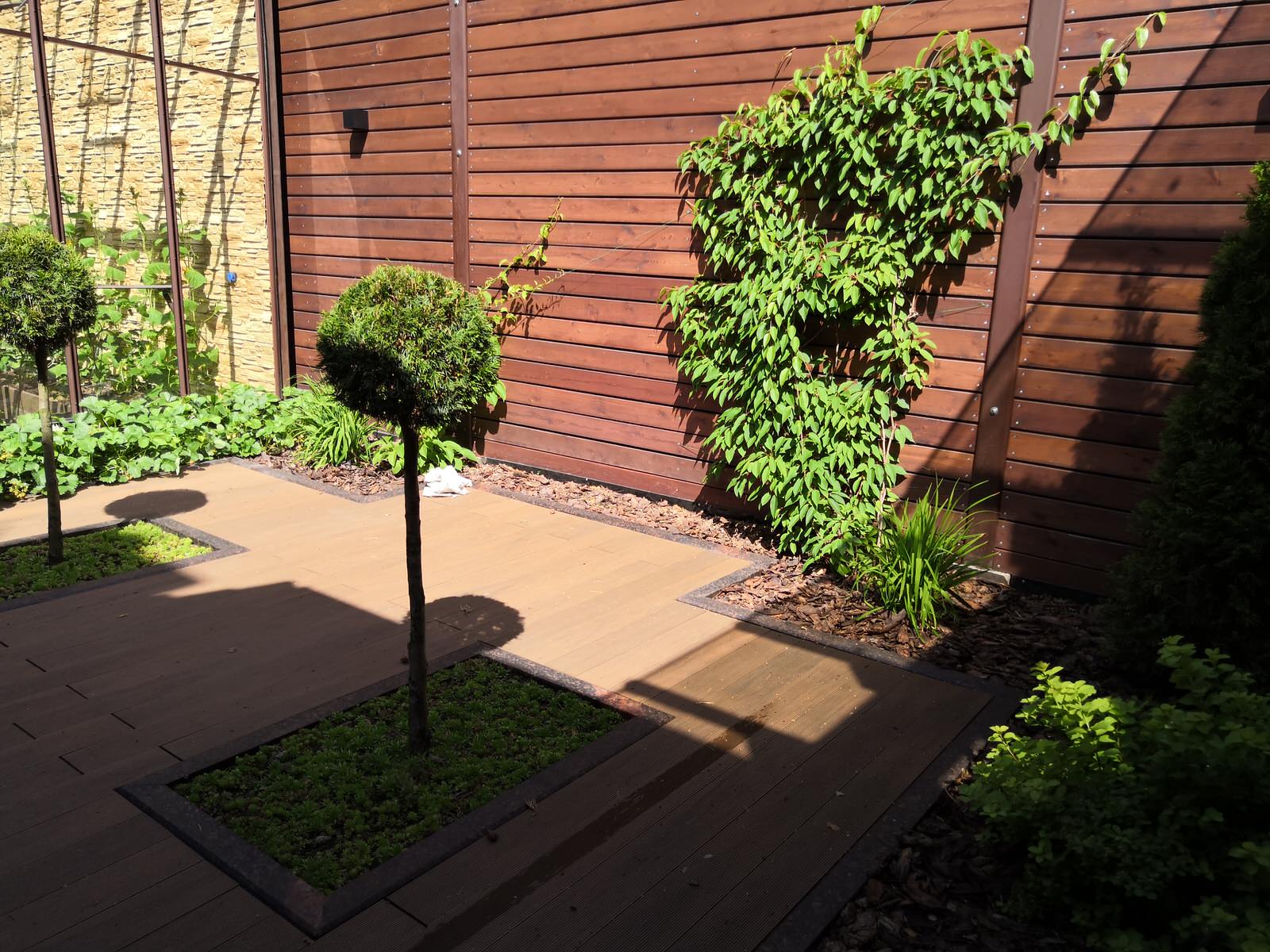 12 сот в лесу