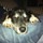 gail_heringer