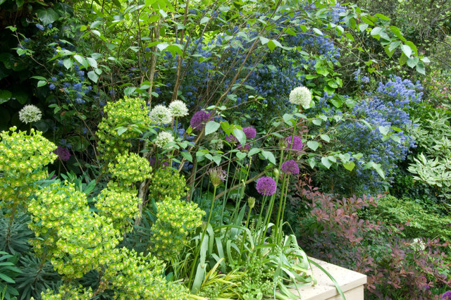 Highgate Garden garden