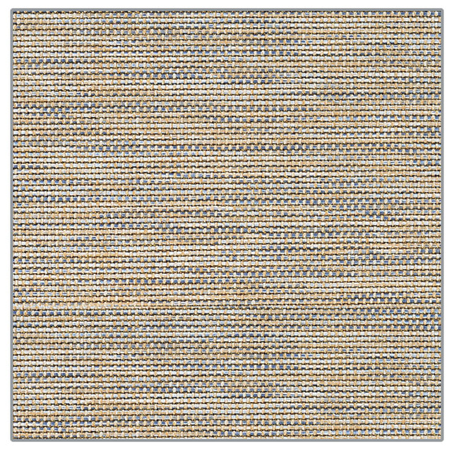 Couristan Cooper Island Indoor/Outdoor Area Rug – Stylish and Durable ...