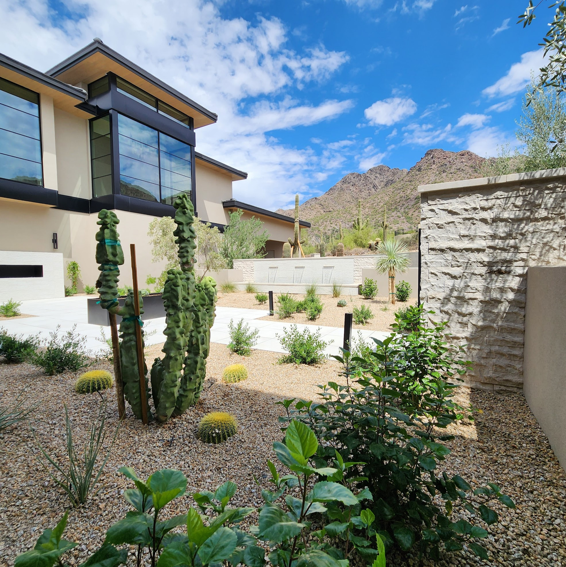 Silverleaf III