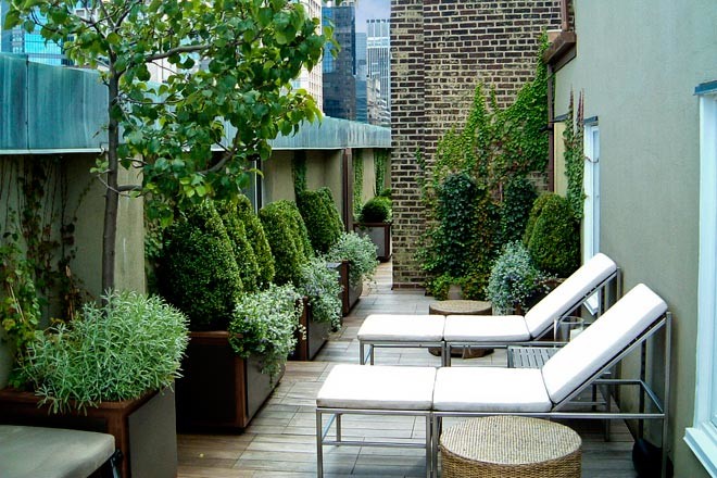 Inspiration for a large contemporary courtyard deck in New York with a container garden and no cover.