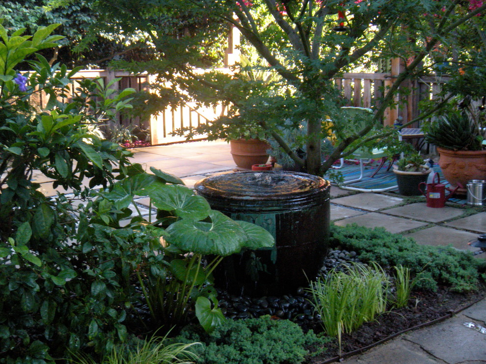 This is an example of a large modern backyard full sun garden in Los Angeles with mulch.