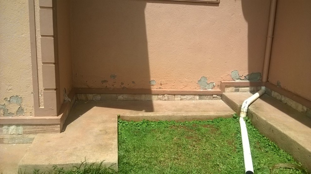 What causes paint to peel and how can this be repaired or be prevented