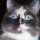 Last commented by Claudia_C Davis