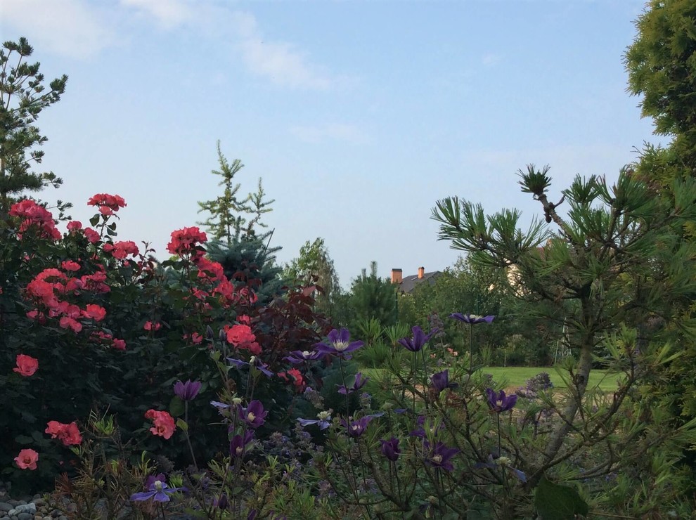 СНЫ О ЧЕМ_ТО БОЛЬШЕМ...