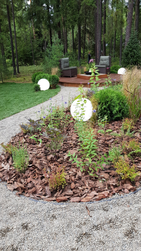 Дачный ответ на НТВ 2019