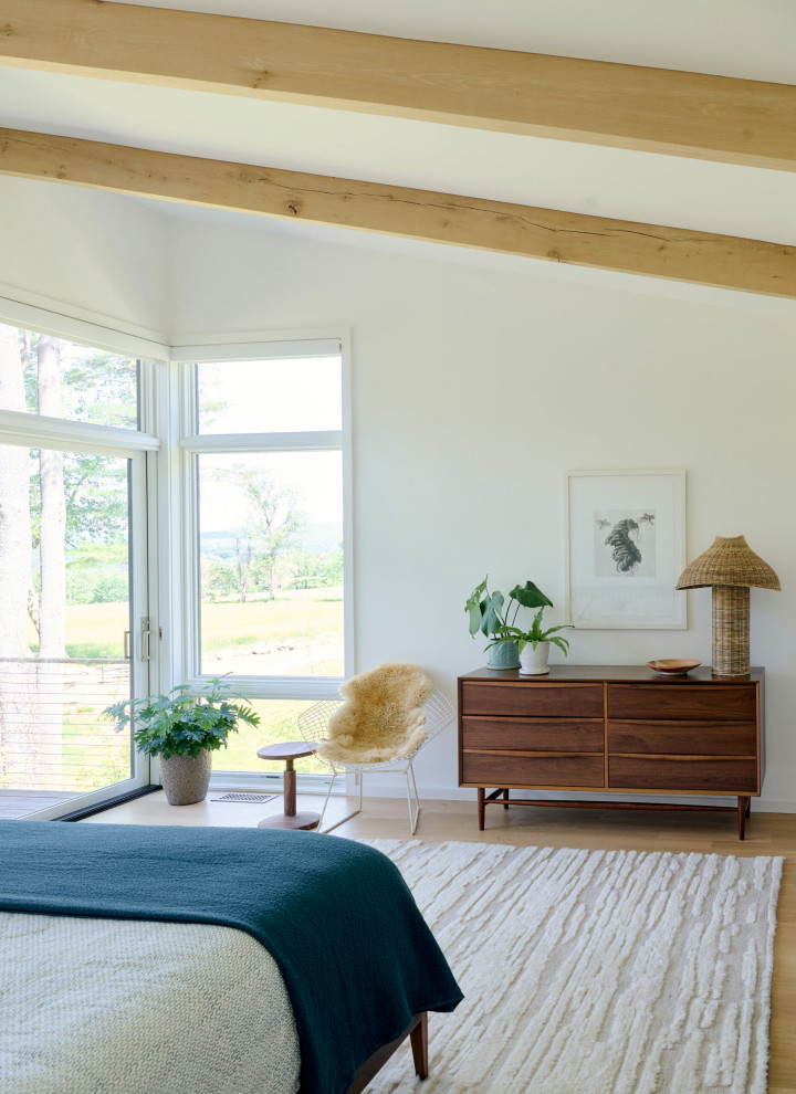 Inspiration for a mid-century modern bedroom remodel in Boston