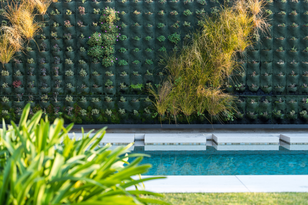 Ejemplo de jardín moderno de tamaño medio en patio delantero con jardín vertical, exposición parcial al sol y con metal