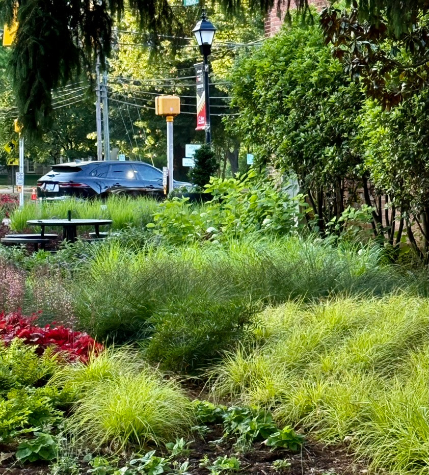 Veterans Memorial Park, Davidson, NC