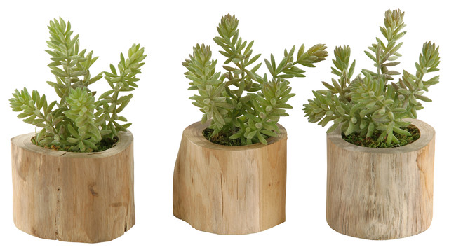 d w silks d w silks flocked burro tails in natural wooden planter set of 3 view in your d w silks d w silks flocked burro tails in natural wooden planter set of 3 view in your