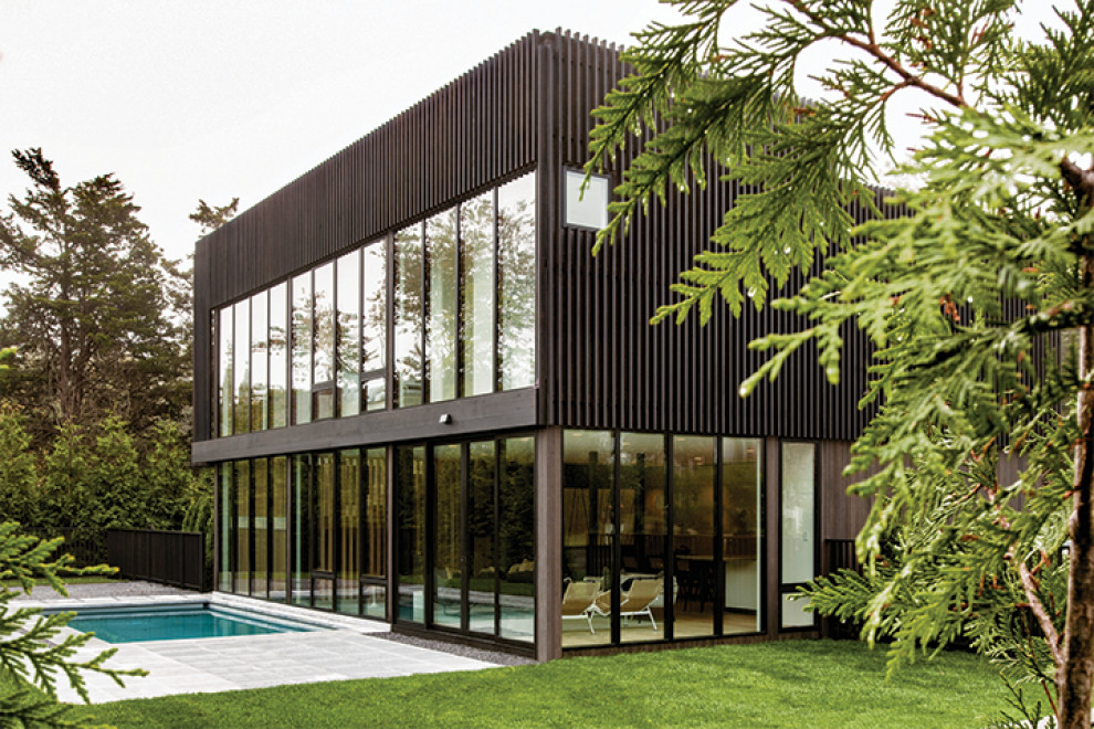 Идея дизайна: трехэтажный, деревянный, черный частный загородный дом в стиле модернизм с плоской крышей