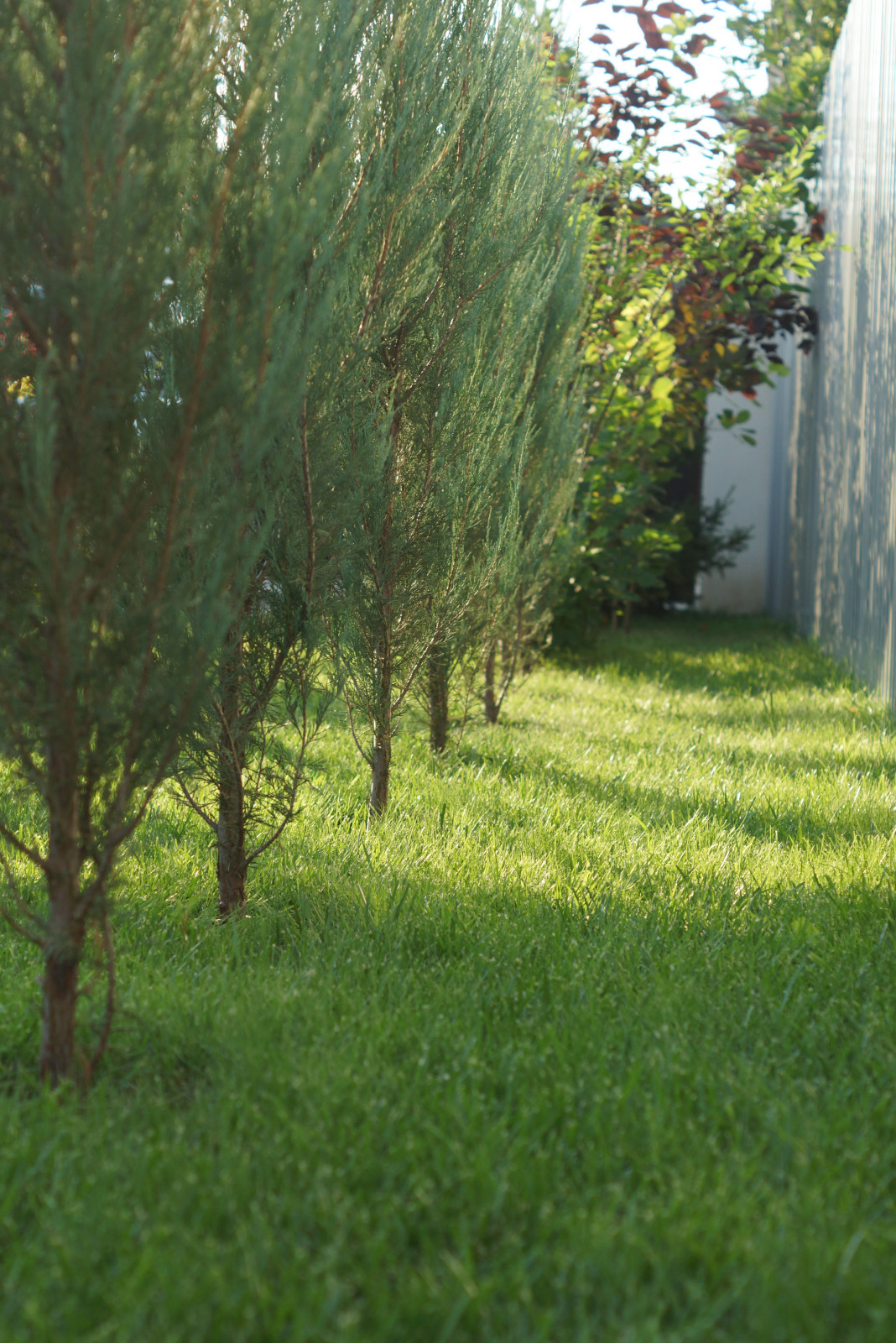 Дом в восточно-европейском стиле