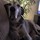 kelly_randis