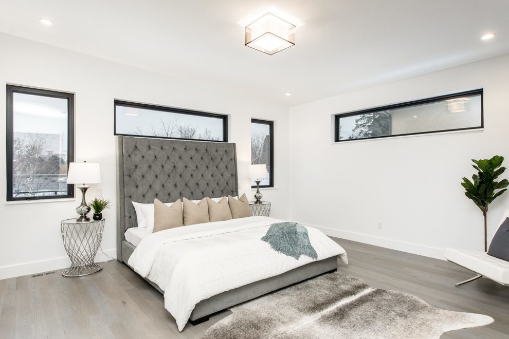 Large modern master bedroom in Denver with white walls, medium hardwood floors, no fireplace and brown floor.