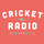 Cricket Radio Interiors