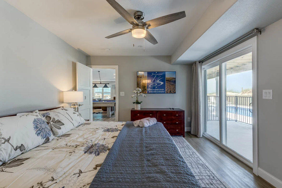 Dolphin Watch (2023)