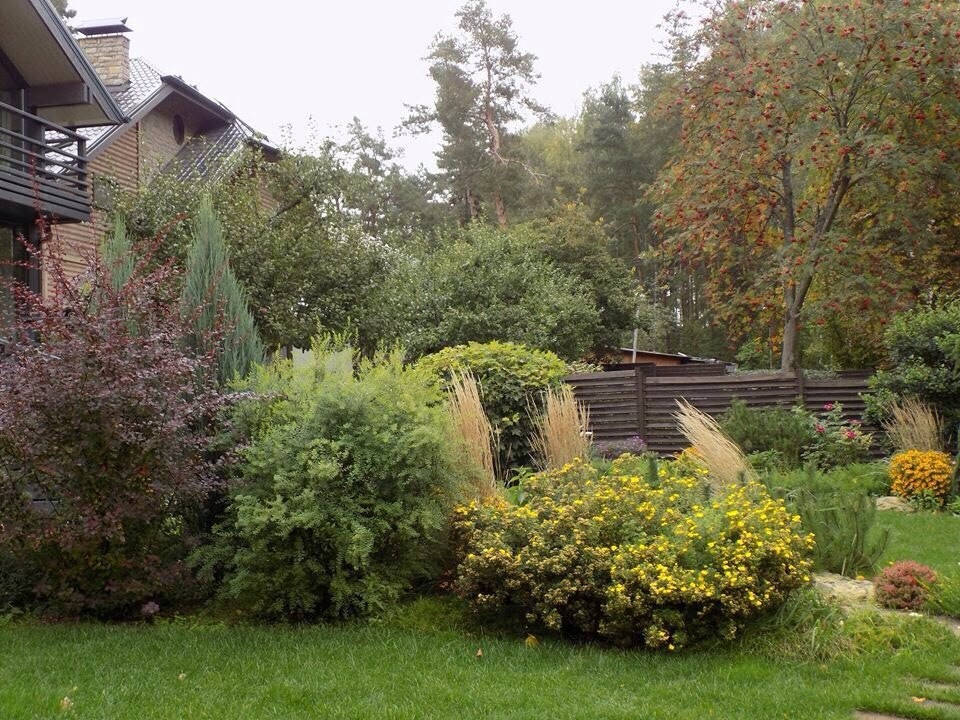 Озеленение, ландшафтный дизайн