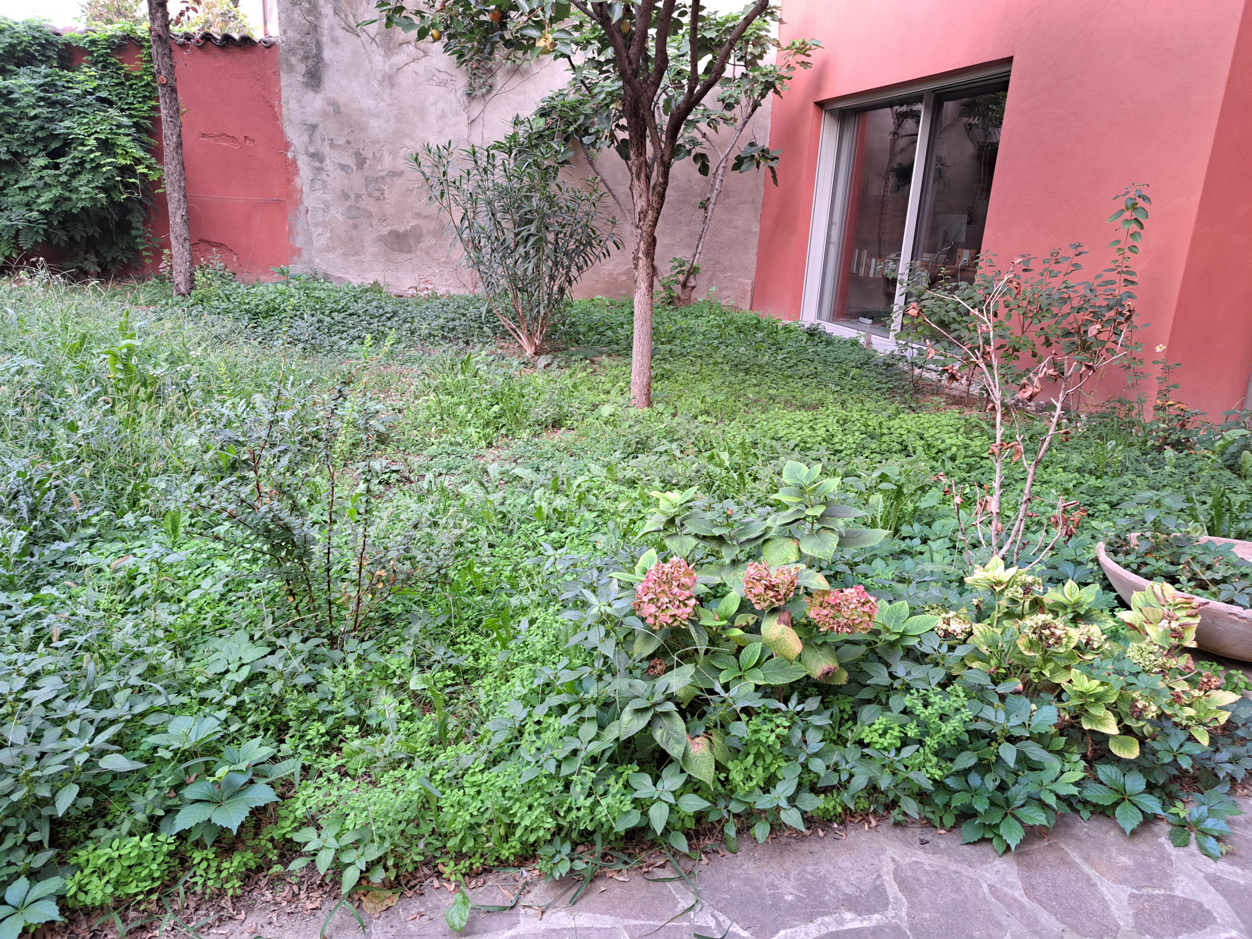 Giardino privato P.S.