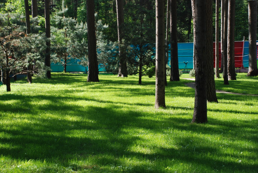 Участок с водоемом в КП "Сосновый бор"