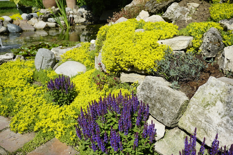 Ландшафтный дизайн