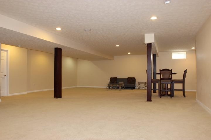 Basement Remodel