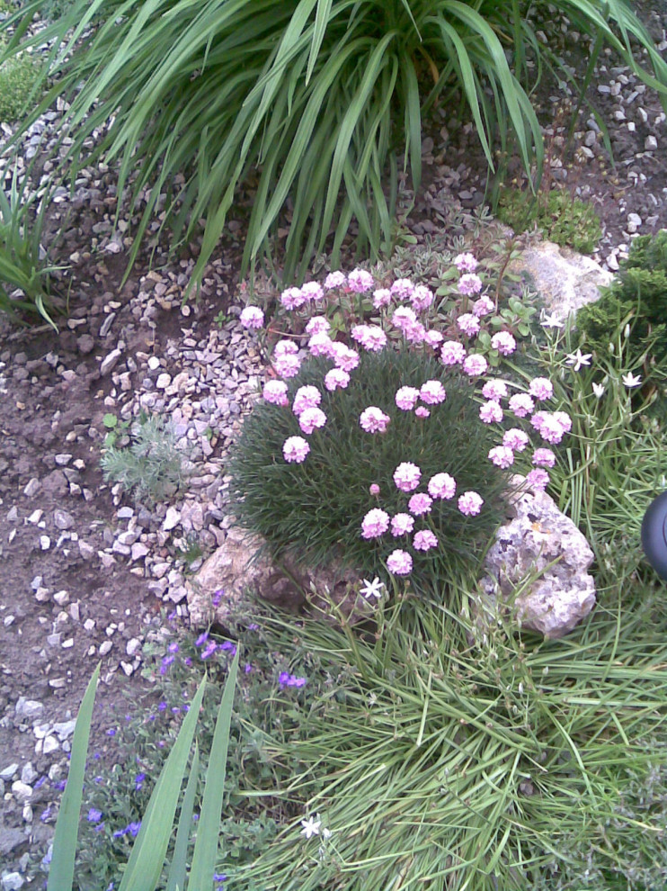 Альпийская горка