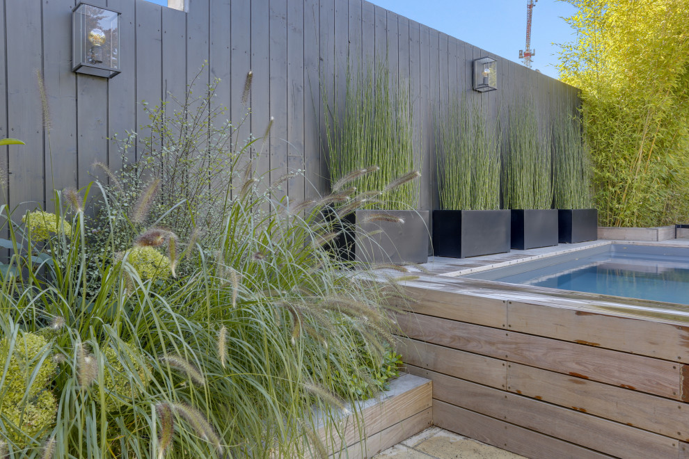 Aménagement d'un petit piscine avec aménagement paysager avant contemporain rectangle avec une terrasse en bois.