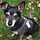 tracy_beasley8110586