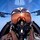 sergey_svet