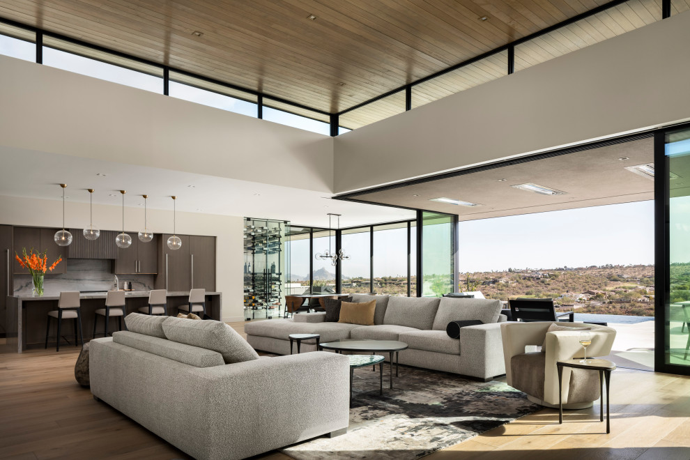 Living room - contemporary living room idea in Phoenix