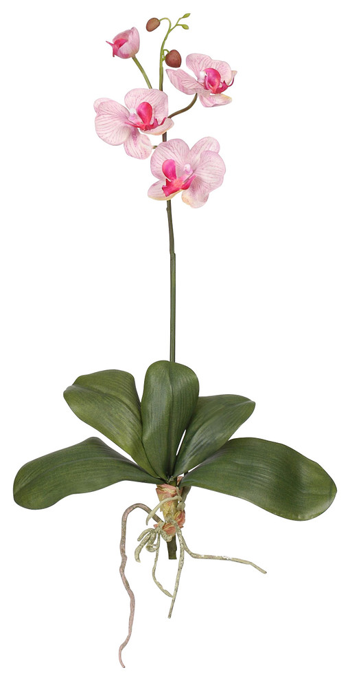 Mini Phalaenopsis Silk Orchid Flower With Leaves, 6 Stems