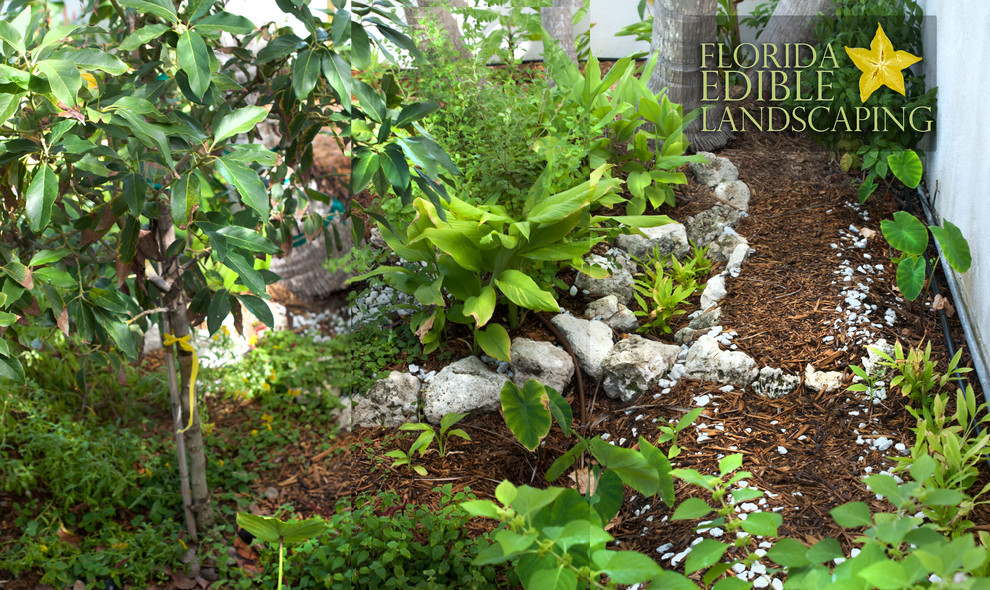 Inspiration for a small tropical garden in Miami.