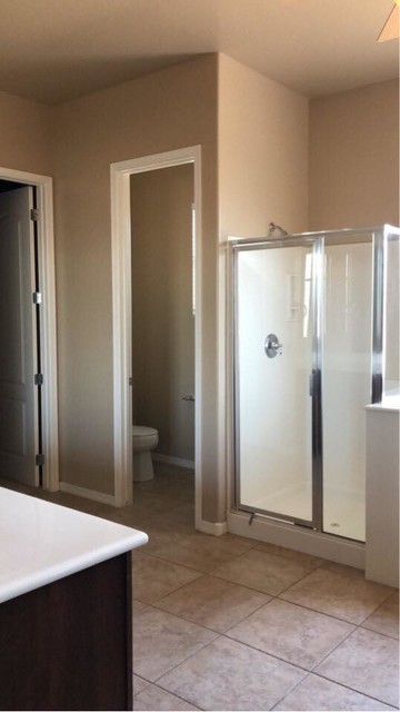 Master Bathroom transitional
