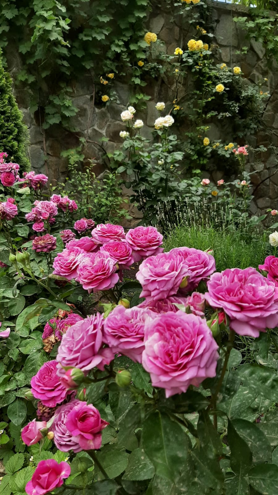 Ландшафтный дизайн