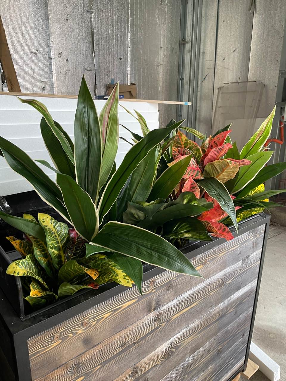 Ресторан FRANK на Рубинштейна г. Санкт-Петербург