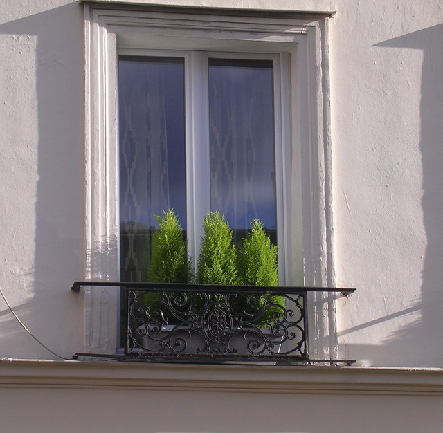 windowboxes 