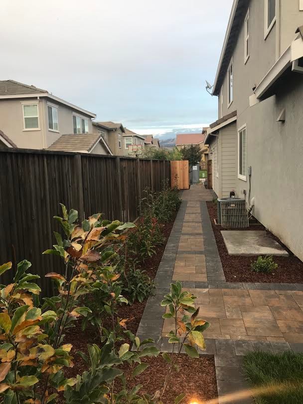 Backyard Patio with Pergola