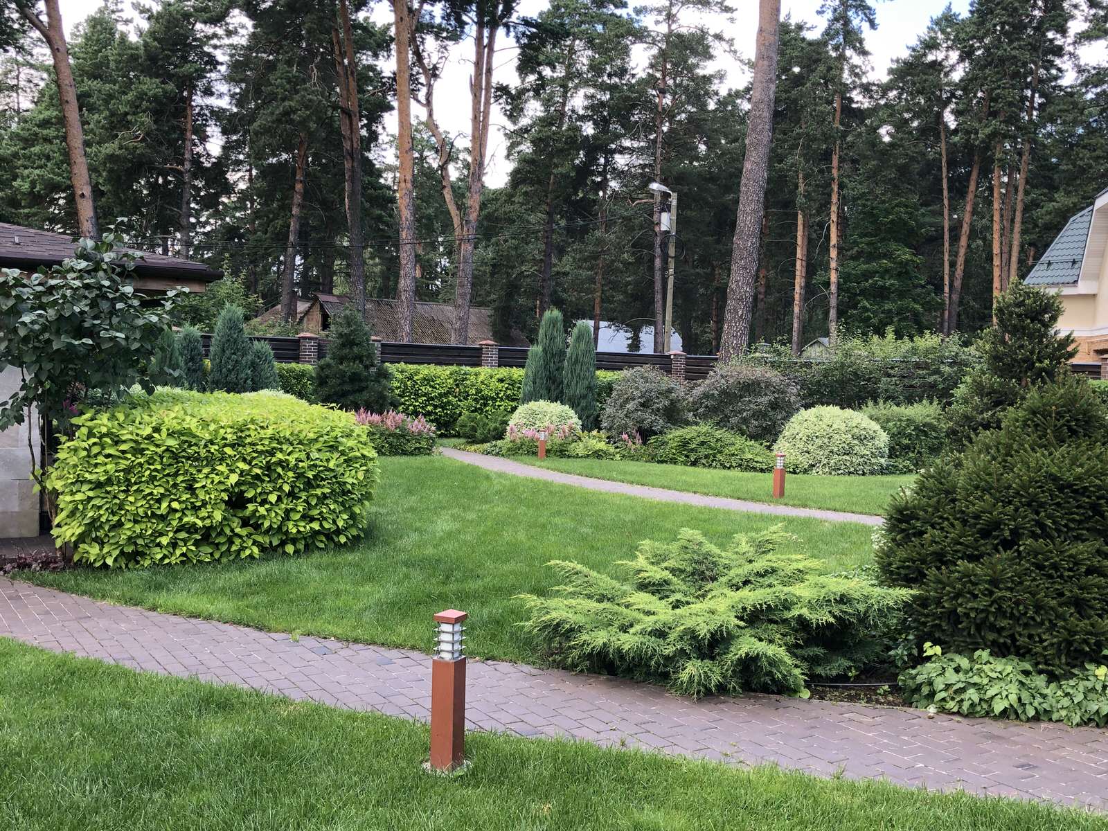 Сад в поселке Салтыковка