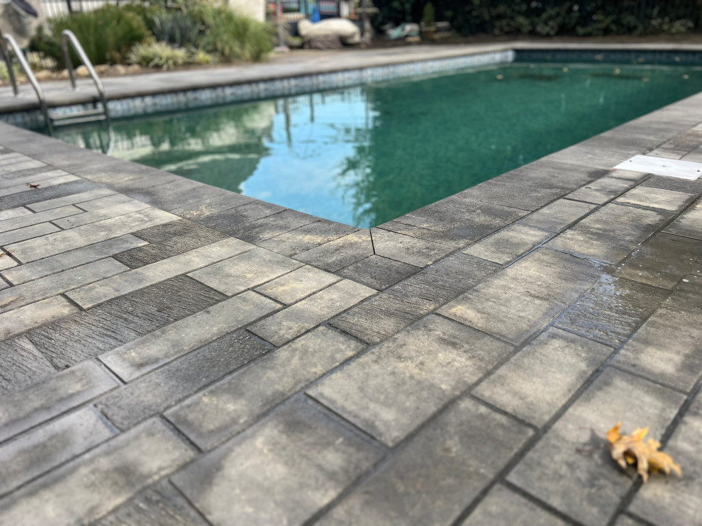 Custom Built Swimming Pool