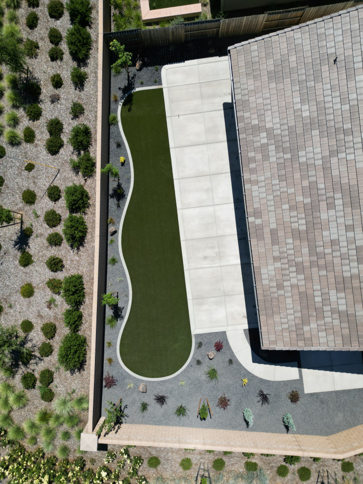 Roseville Backyard Turf and Concrete