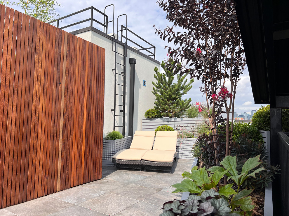 Idee per un grande giardino moderno esposto in pieno sole sul tetto con un giardino in vaso e recinzione in legno